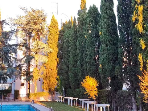 piscina y jardín