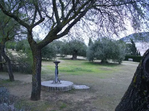 jardines y fuente del entorno del convento