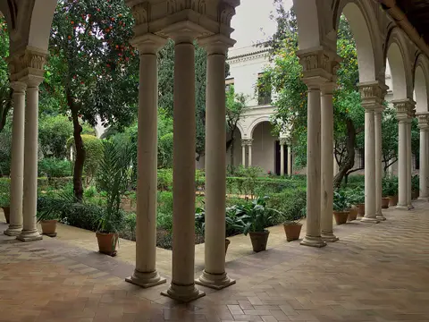 claustro