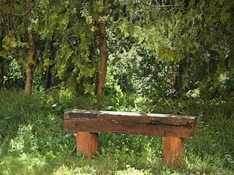 entorno