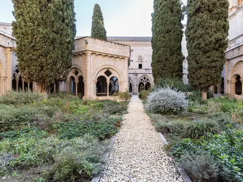 claustro mayor con su jardín