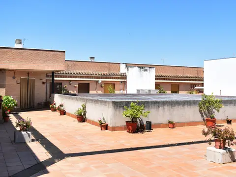 la azotea de la casa, con las macetas y los tejados de Talavera al fondo