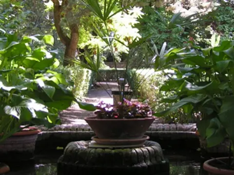 fuente de piedra en el jardín, entre macetas