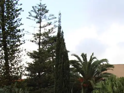 fachada del pabellón de la casa de espiritualidad entre pinos y palmeras