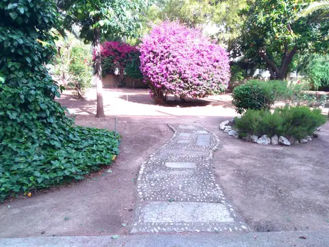 jardín de la casa con camino y buganvillas