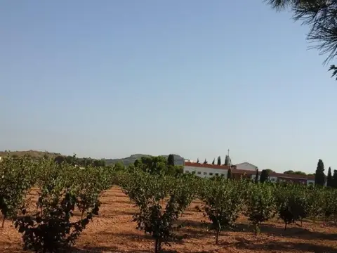 entorno