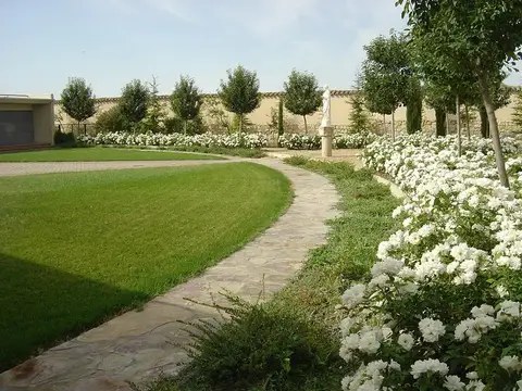 jardín de la casa, con el camino de losas y los rosales