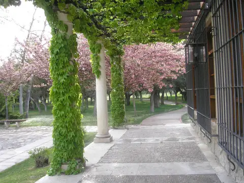 soportal de entrada, con la parra sobre las columnas