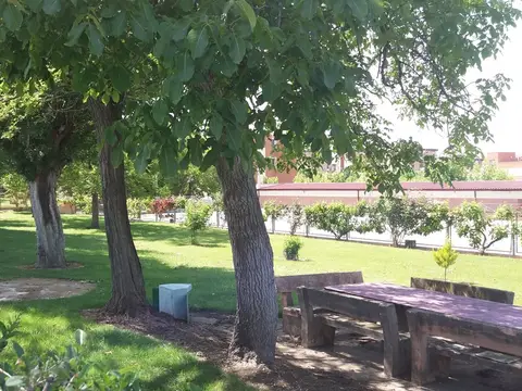 jardines del recinto, con mesas y arbolado