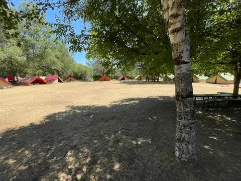 zona de acampada bajo los árboles, con las tiendas montadas (julio de 2023)