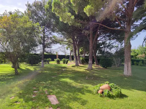 zona-comun